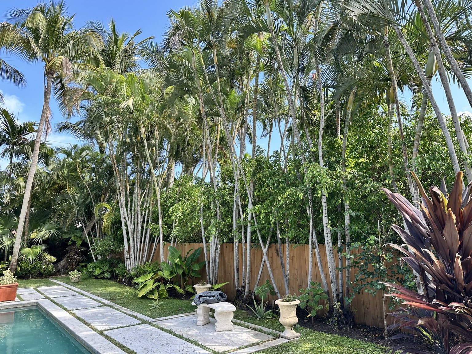 Tropical landscape design