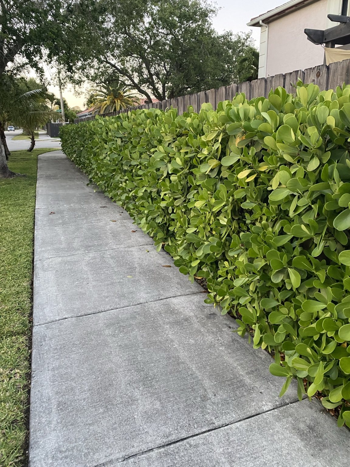 Fence, stone & hardscape details