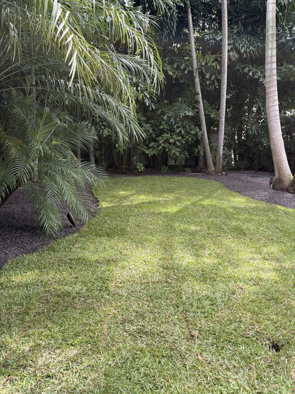 Tropical landscape design