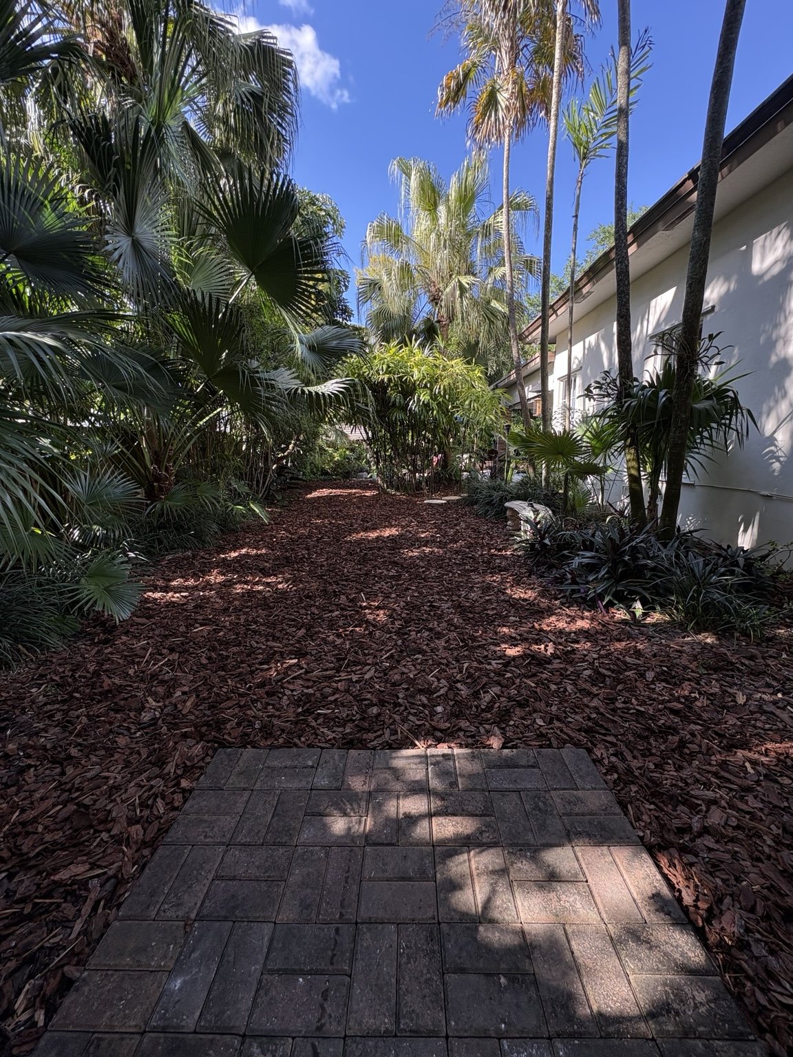 Tropical landscape project